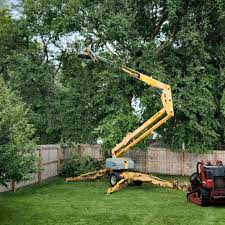 Best Lawn Renovation and Restoration  in Churchville, PA